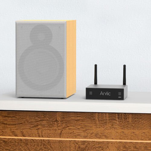 Wireless Audio Amplifiers