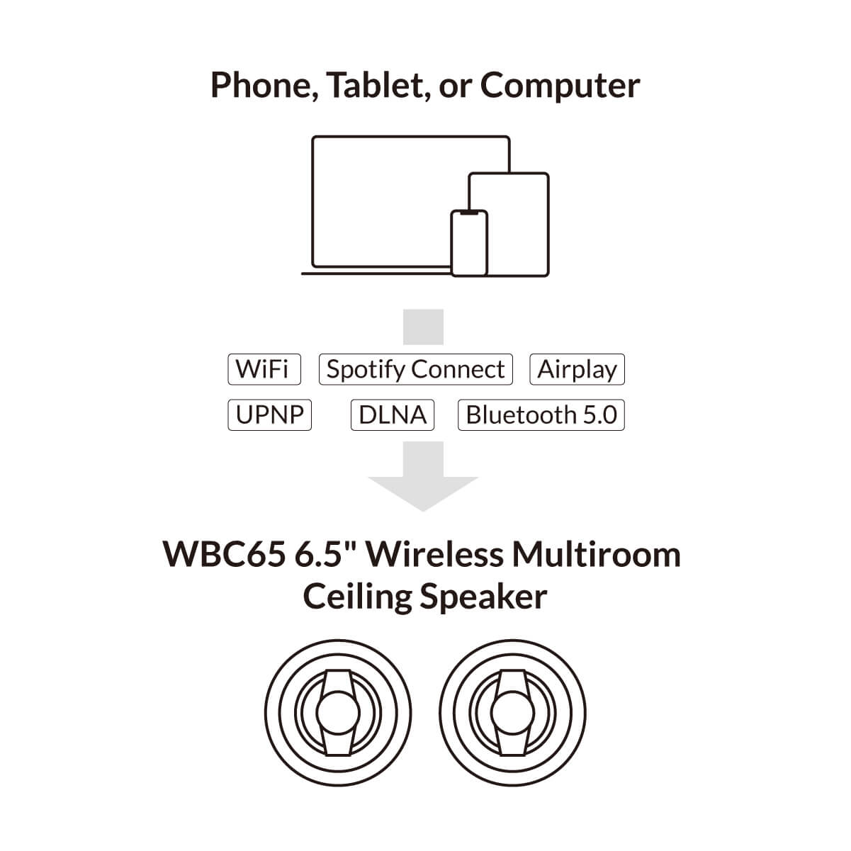 Multiroom ceiling speaker