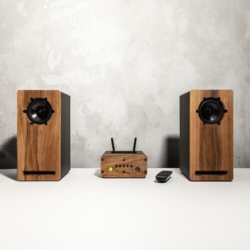 DIY Bookshelf Speaker