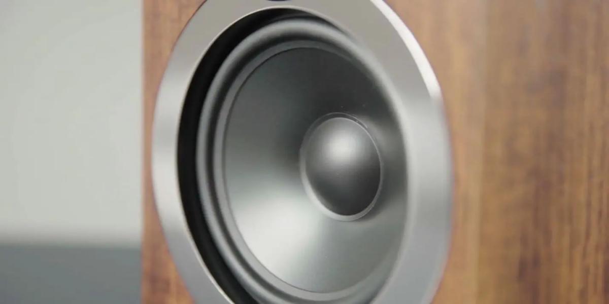 4 Ohm speaker