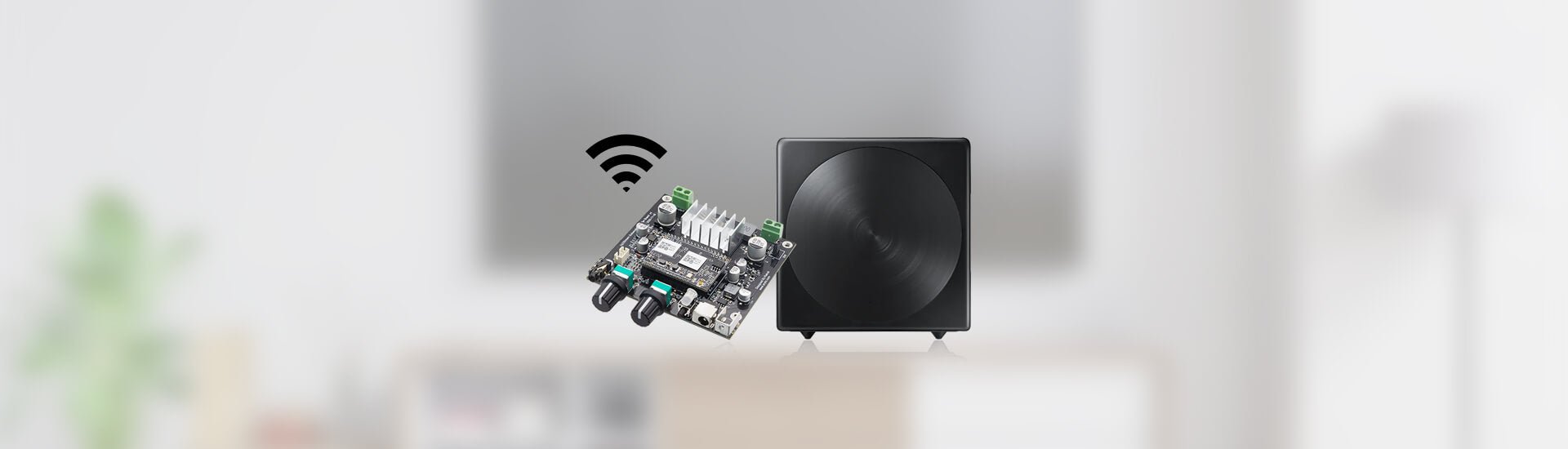 Build Wireless 2.1 system