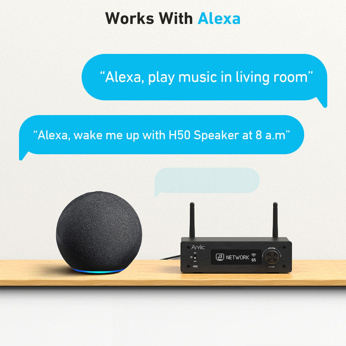 Amplifier Works with Alexa