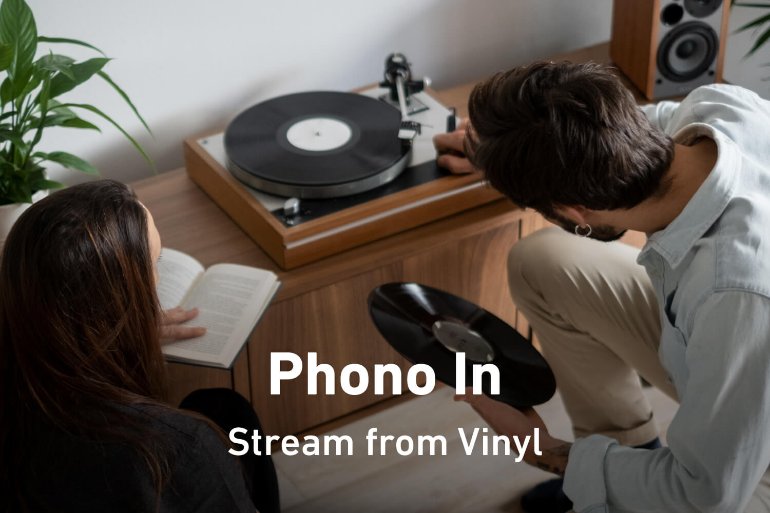 Phono In, Stream from Vinyl