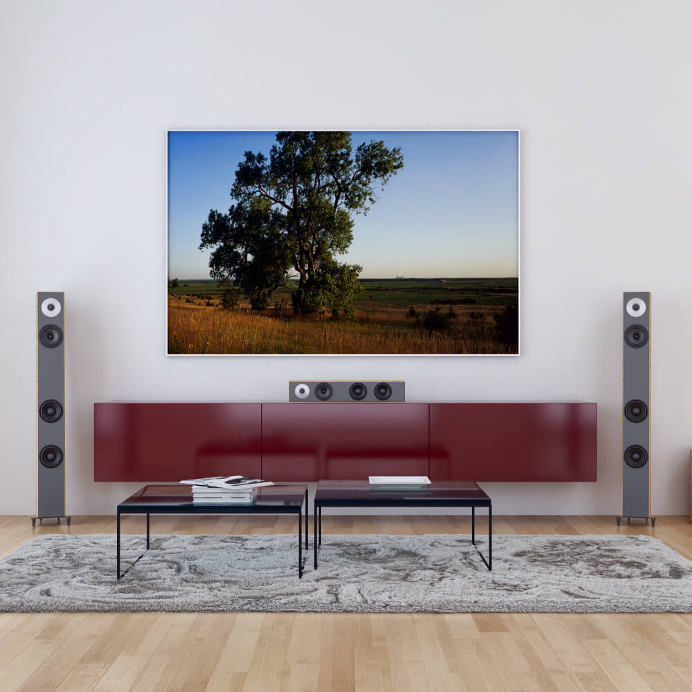 Home theater